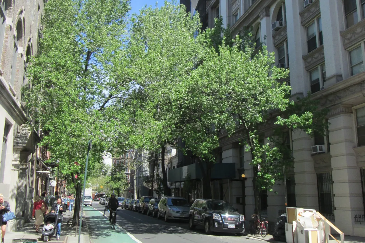 A tree-lined block of Christopher Street in Greenwich Village, between Waverly Place and Sixth Avenue
