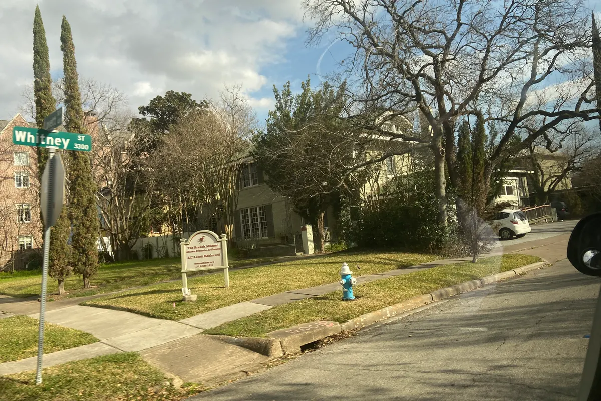 A tree-lined residential corner in Montrose, Houston, with live oaks and a lawn