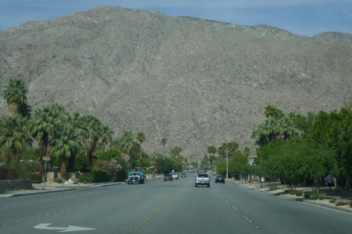 A wide palm-lined street in Palm Springs with the mountains rising behind it