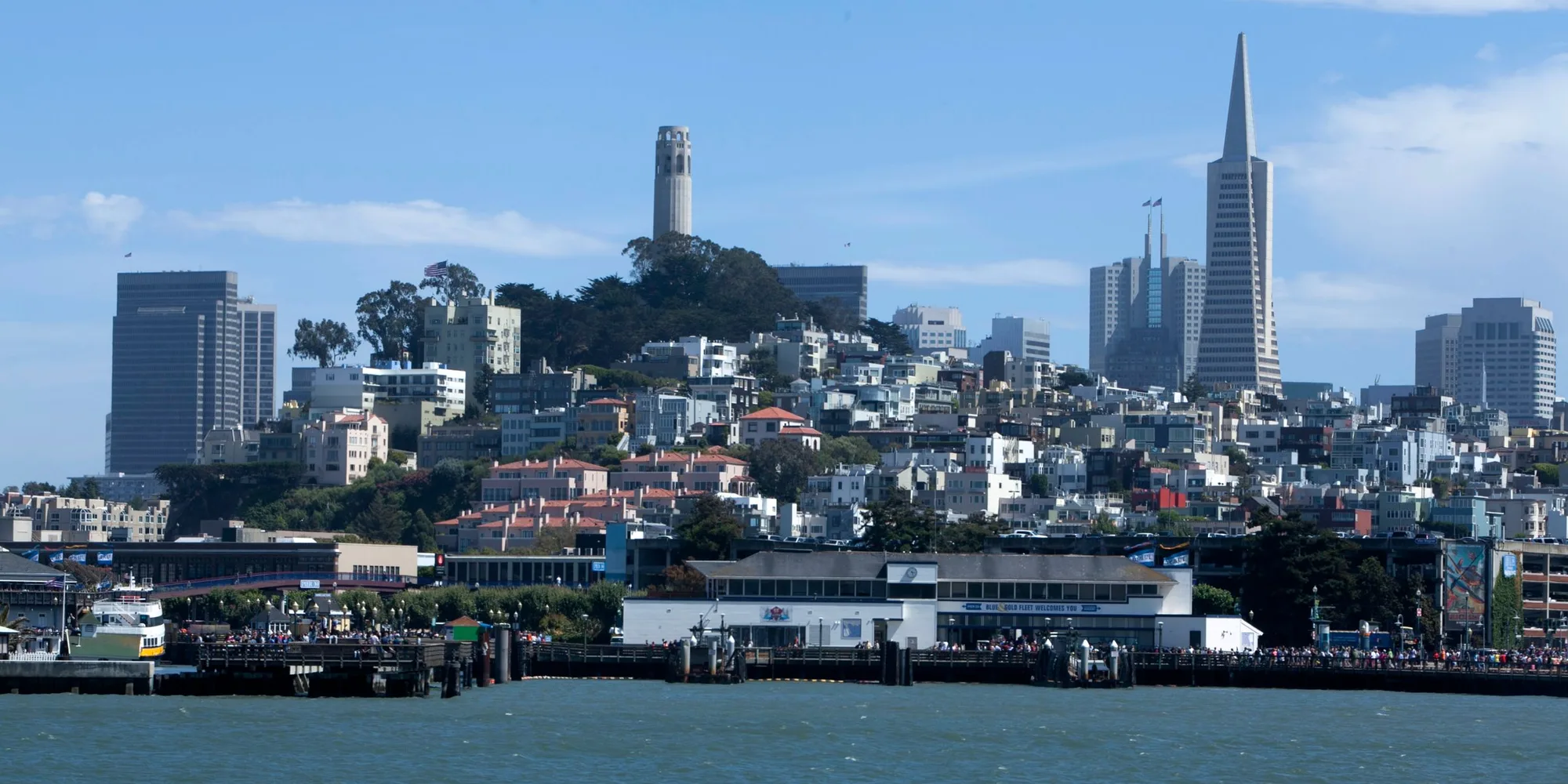 Coit Tower and the Transamerica Pyramid above San Francisco, seen from the bay