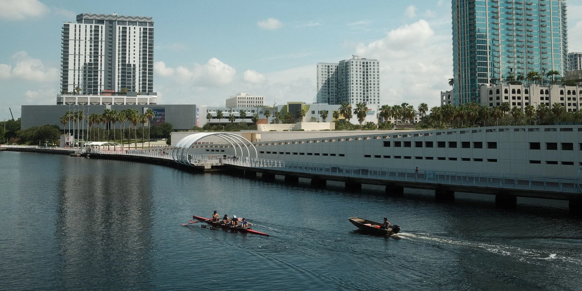 Rowers on the Hillsborough River past the Tampa Riverwalk