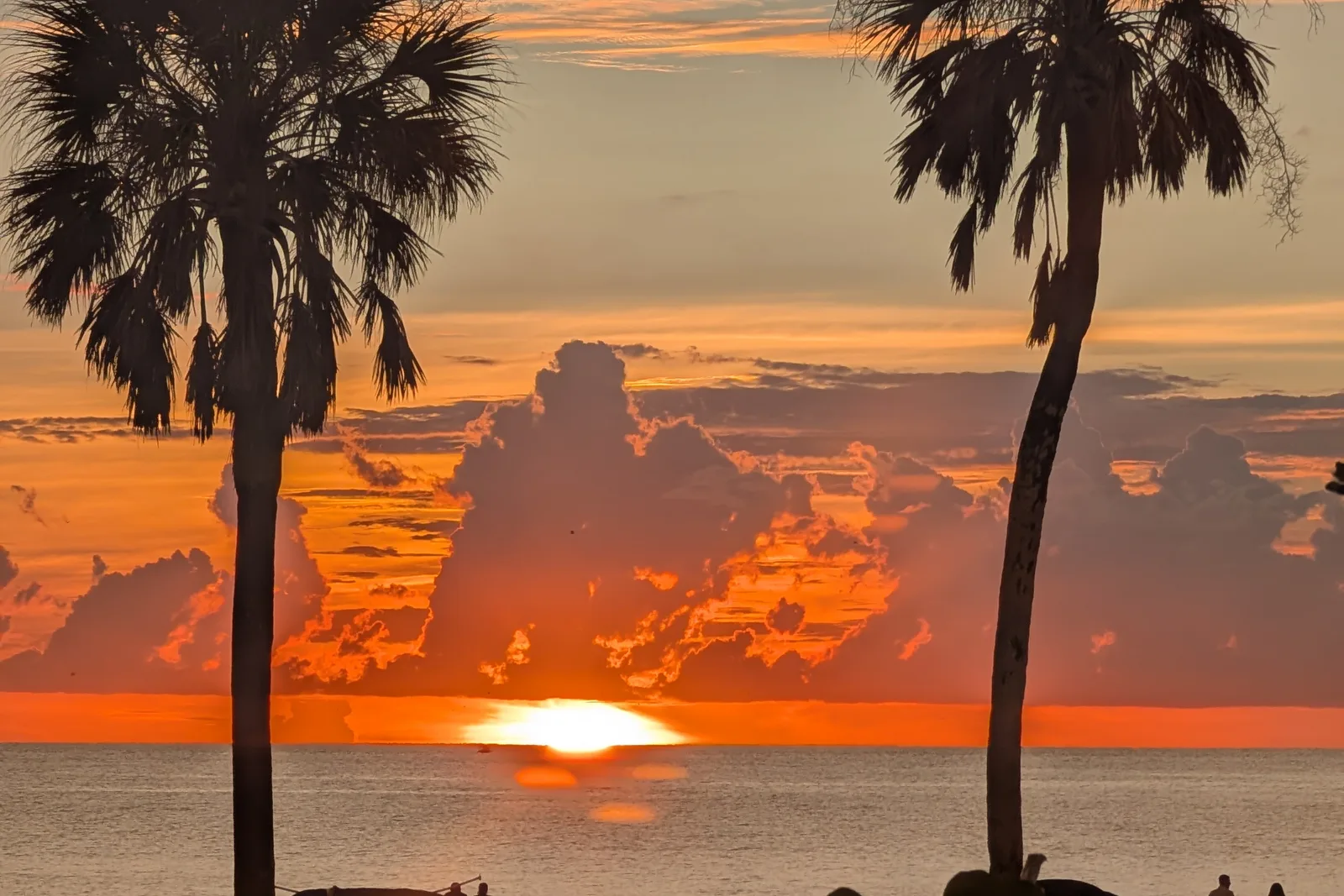 Sunset over the Gulf at Clearwater Beach, two palm trees silhouetted against an orange sky